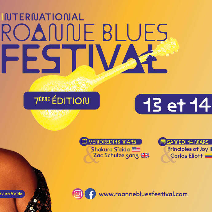 Roanne Blues Festival