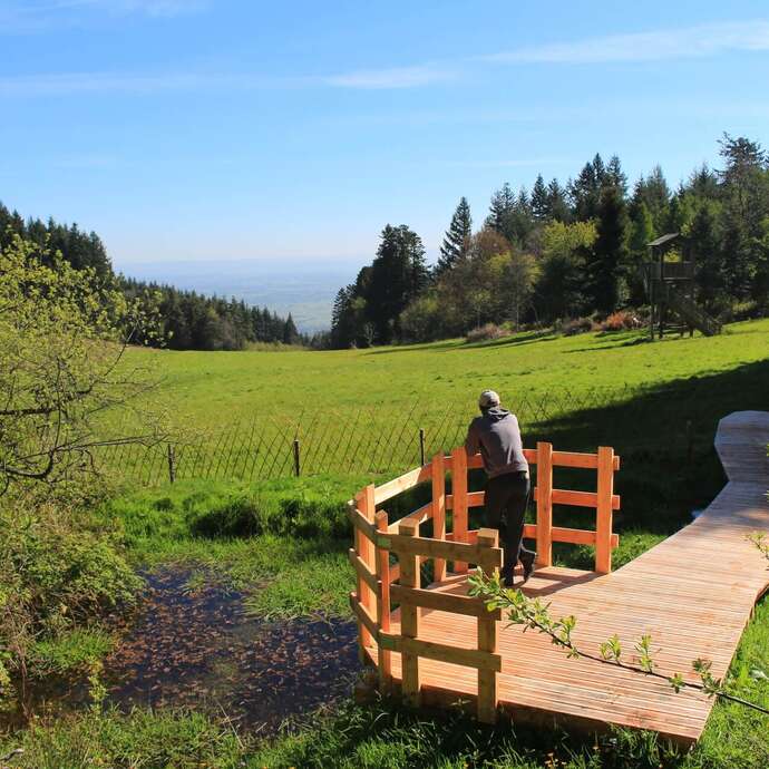 Après-midi aux Grands Murcins