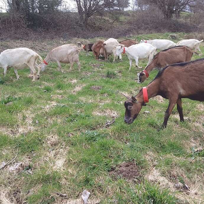 La ferme du pré joli