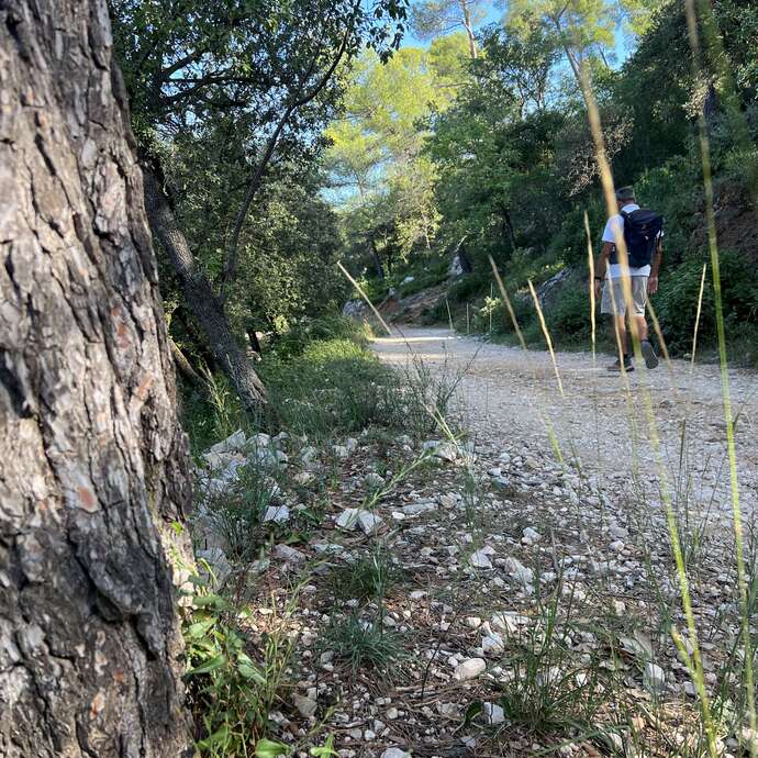 Les charbonnières de la Sainte-Baume - Journée