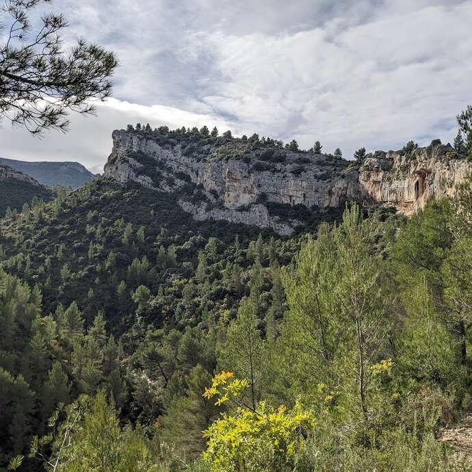 1/2 Journée - Randonnée "A la tombée de la nuit" - Auriol