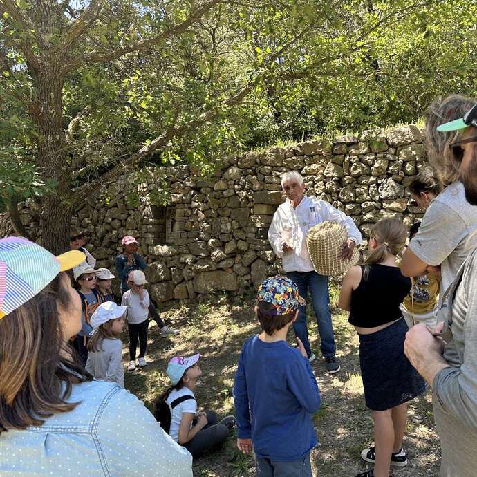 Découverte des abeilles de la Font de Mai - 1/2 journée