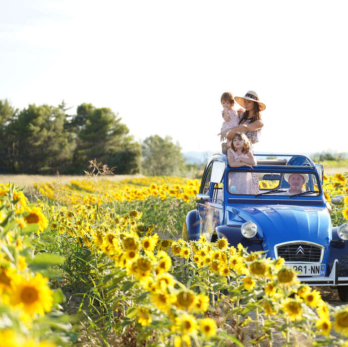 Oh my Deuche, location 2cv - Balades en Provence