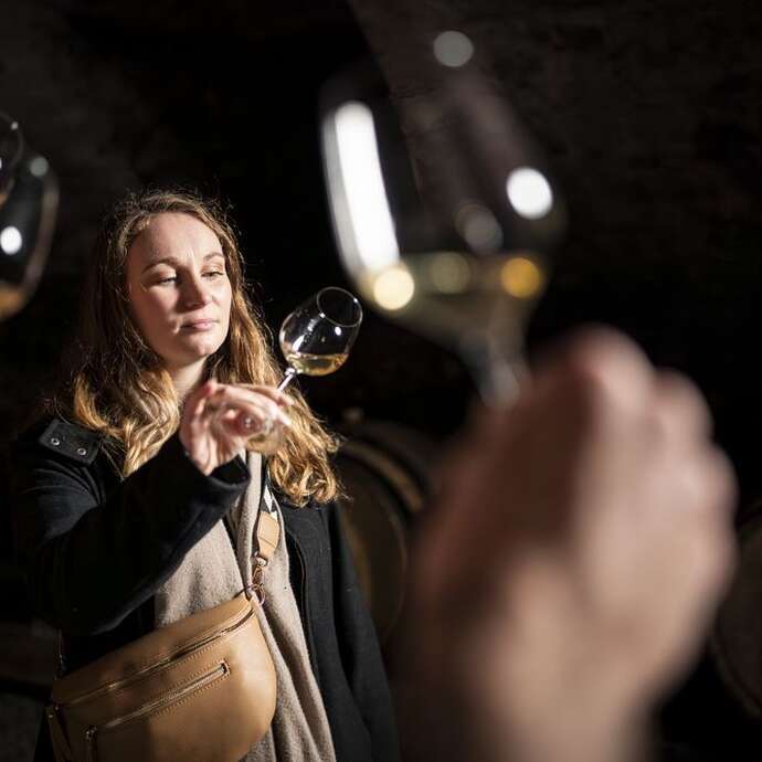 Culture et Vins au Domaine De Boisseyt