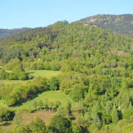 Sentier d'interprétation du Priel - boucle de 8 km