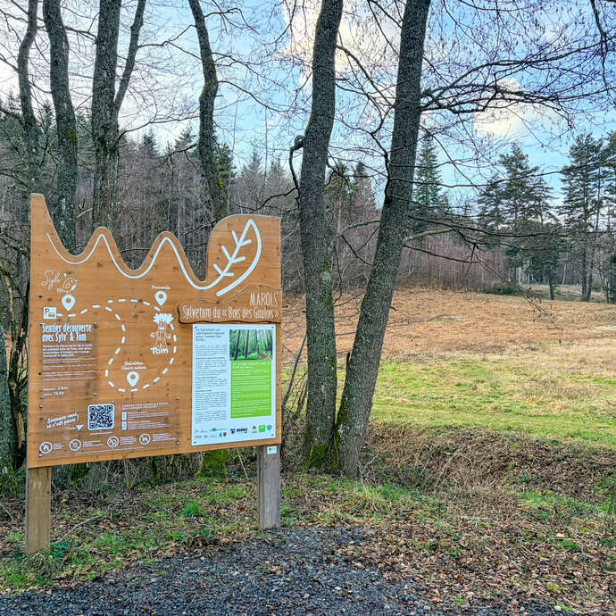 Sylvetum du Bois des Gaulois