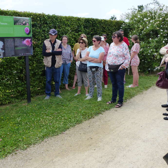 Visite guidée de la roseraie de Saint-Galmier