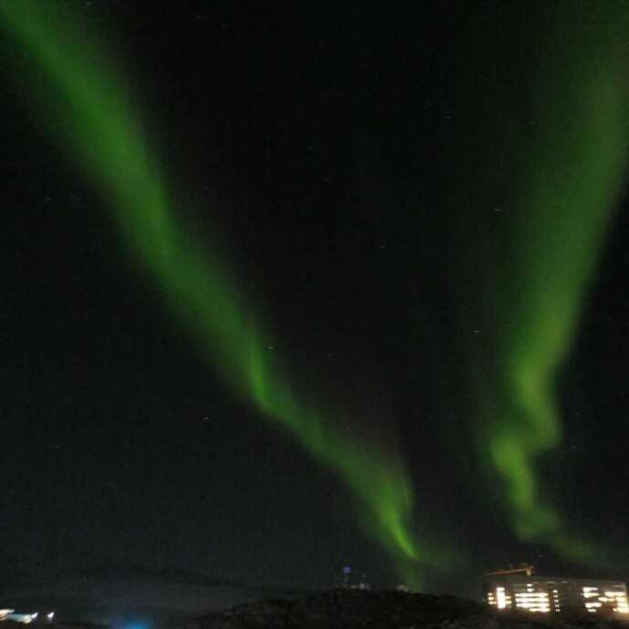 Les nuits de la lecture