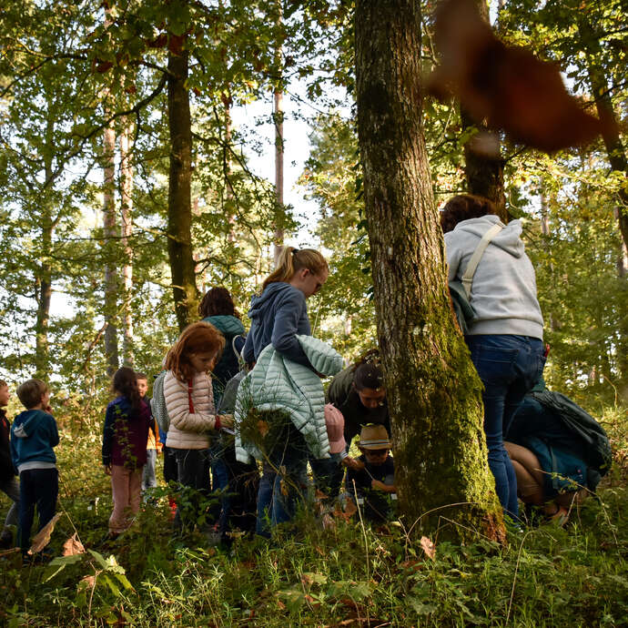 Petits gestes, grandes créations - atelier en famille