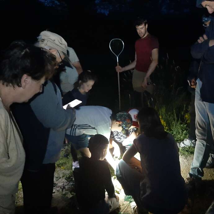 Soirée amphibiens
