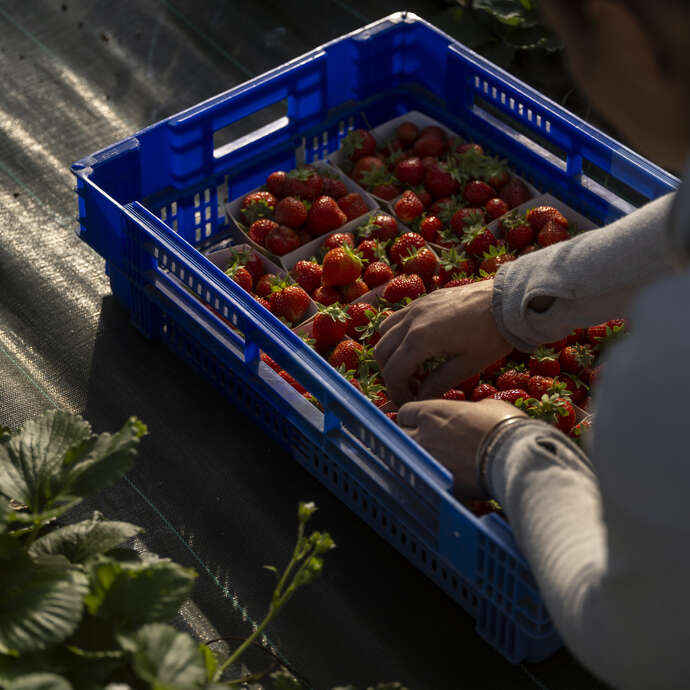 Ferme "Loin des macadams"