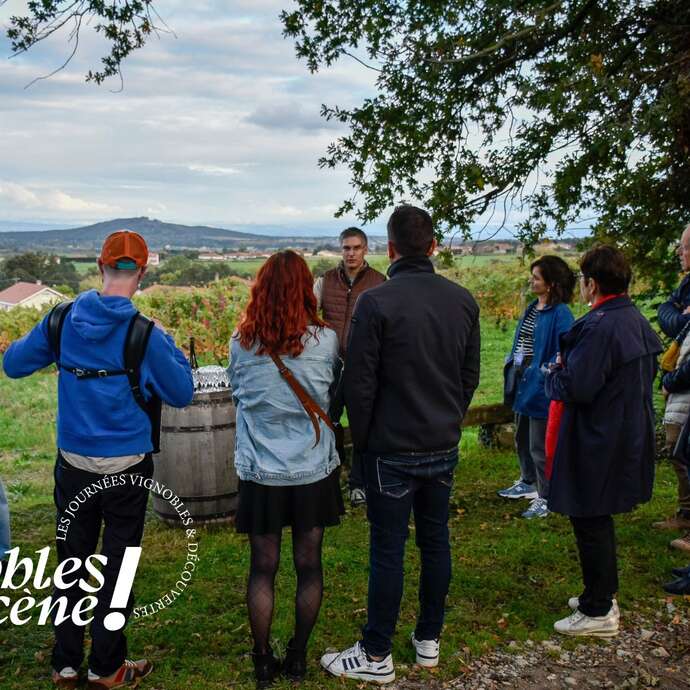Vignobles en scène - les journées vignobles et découvertes en Loire Forez