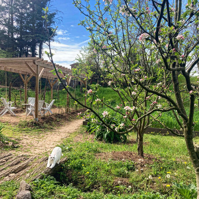 Mittelalterlicher Garten