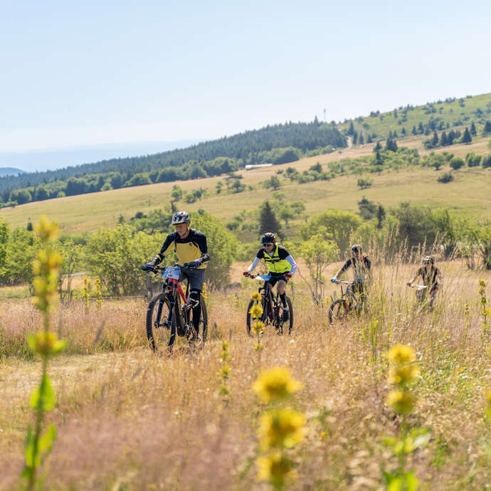 Bike & fourme festival
