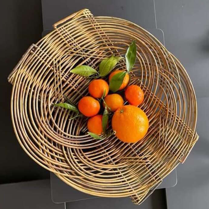 Atelier Vannerie - Tressez une corbeille et un plateau en osier