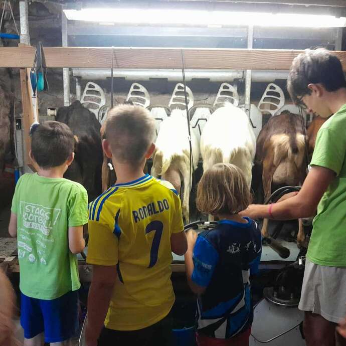 Atelier “apprenti chevrier”
