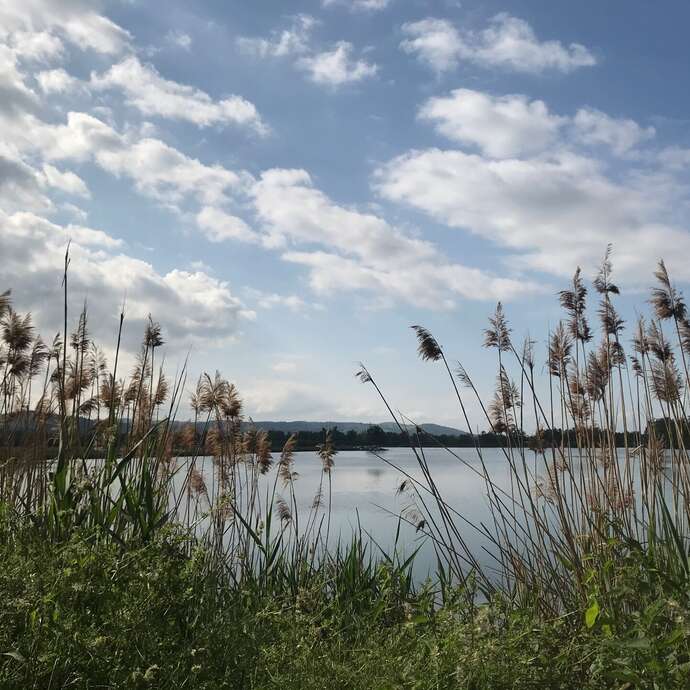 Boucle cyclable F7 : balade au fil de l'eau à vélo : Saint-Laurent-La-Conche / Etangs de Feurs