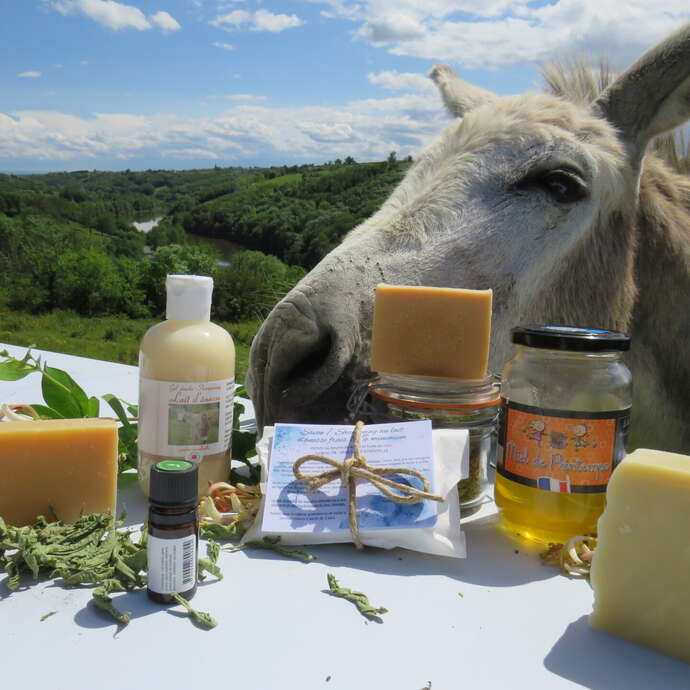 Cosmétiques au lait d'anesse