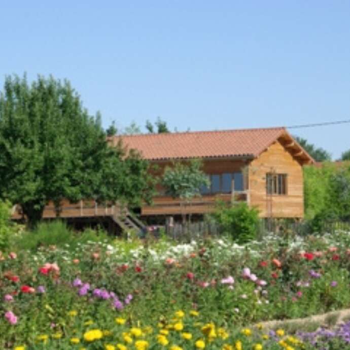 Fleurs et tisanes