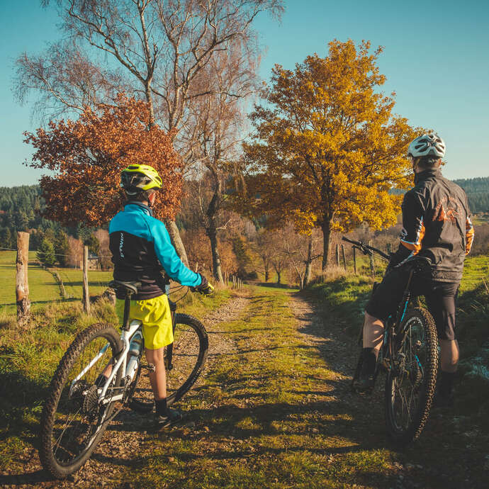 Circuit VTT Du Gamay à la Côte
