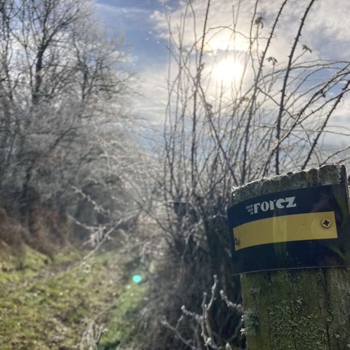 Sentier découverte du viaduc du pont marteau : le bois de la dame