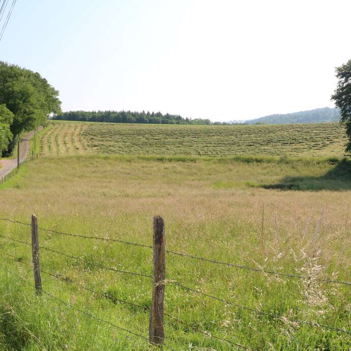 Entre Chandonnet et Jarnossin - PR 12