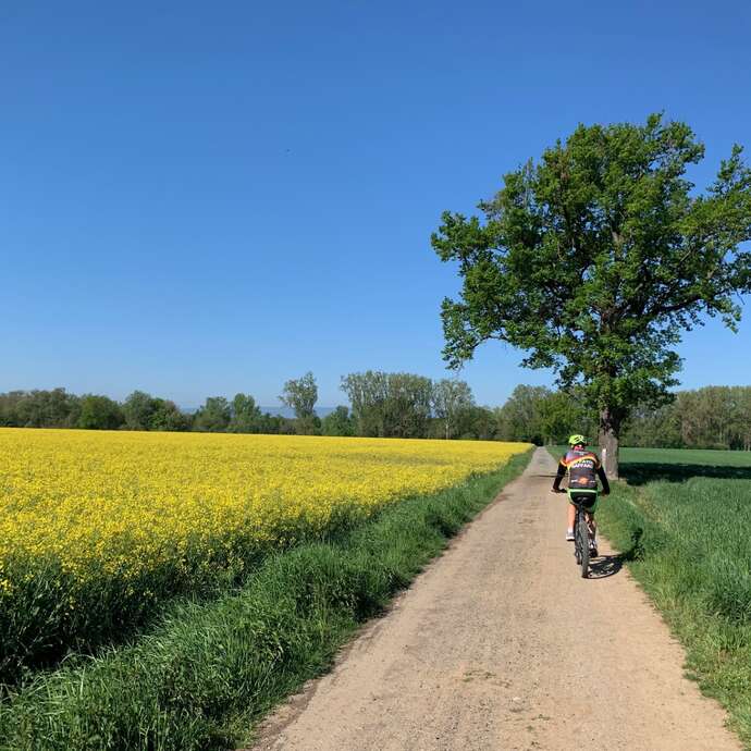 N°7 Les bords de Loire, côté plaine