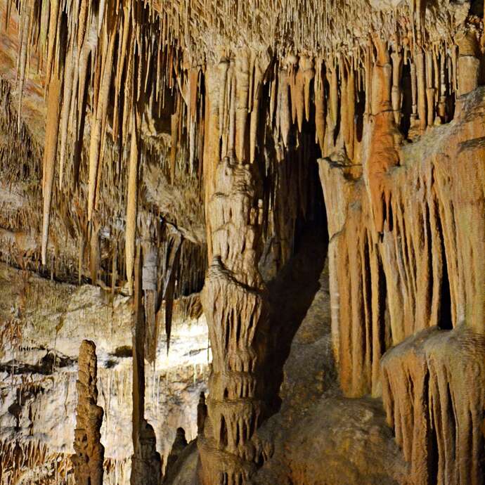 Sortie à la grotte du Bosc et à l'abbaye de Beaulieu-en-Rouergue