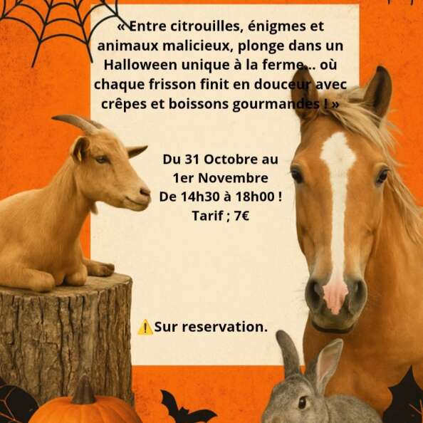 Animations d'Halloween à la ferme