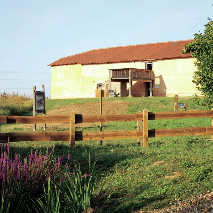 La gravière aux oiseaux