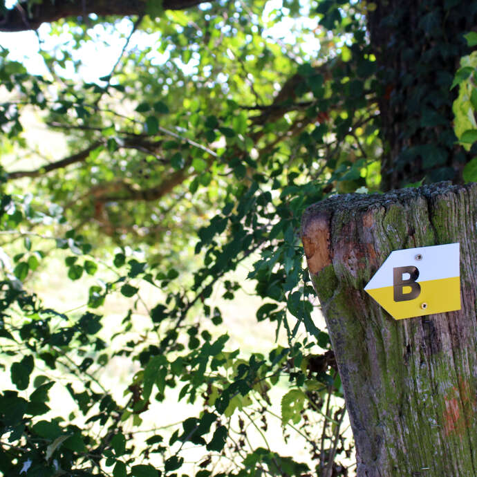 Sentier Les Fayettes