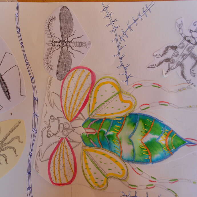 Atelier art : les insectes