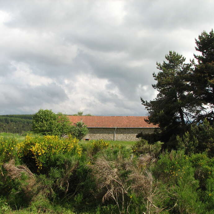 Circuit - cyclo - Baracuchet - Saint-Anthème