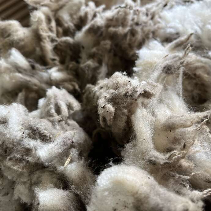 Spinning wool on a spinning wheel