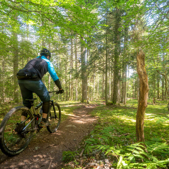 N°1 - Vieil Ecotay - Espace VTT Montbrison - Monts du Forez