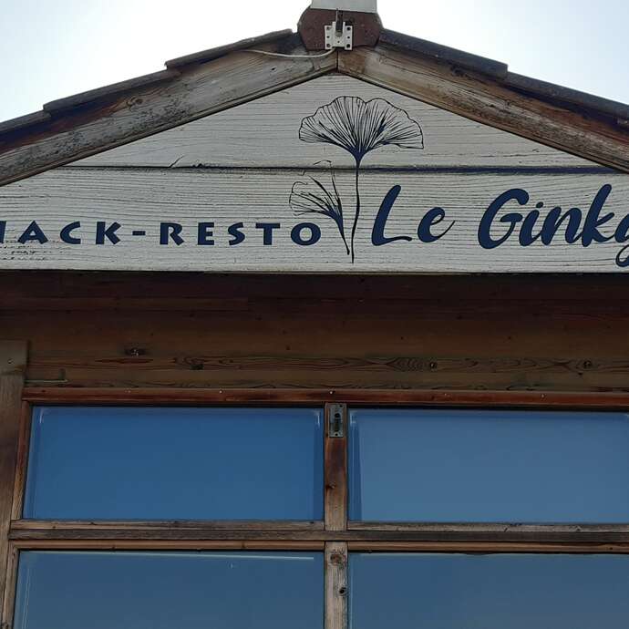 Le Ginkgo