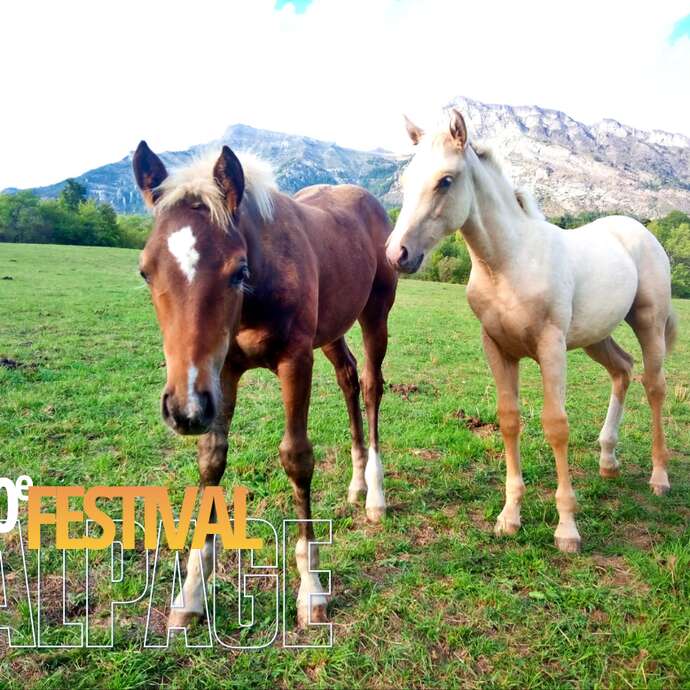 Festival de l'Alpage : Visite de l'élevage Appaloosa Farm