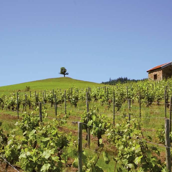 Balade La Clef des champs - Renaison