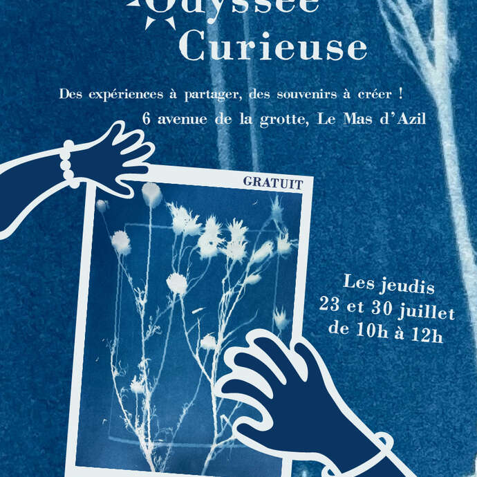 Odyssée curieuse