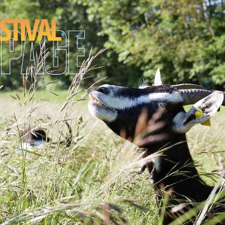 Festival de l'Alpage : Visite de la ferme de Coste Joffre