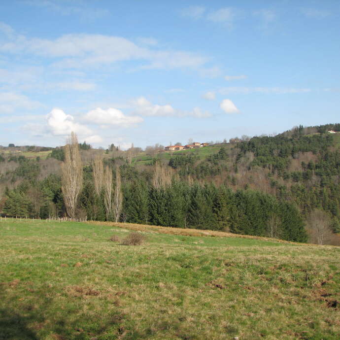 Le sentier des Babets -Sur les sentiers des babets du Haut-Forez