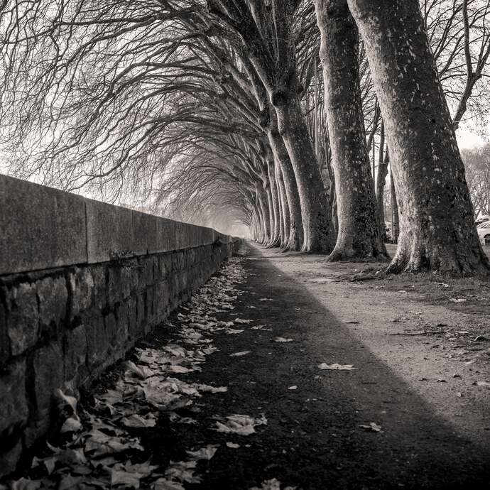 Lo Kee Ombres et lumières, un regard sur le patrimoine de l’Anjou
