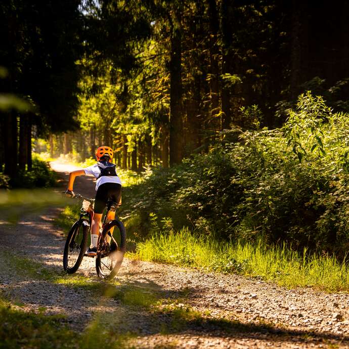 N° 57 - Le circuit pour la famille - Espace VTT-FFC Massif de Bois Noirs