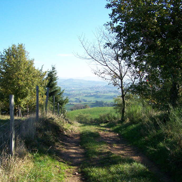 Circuit des Chapelles (Départ: Saint Just la Pendue)