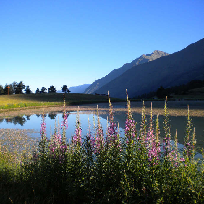 Aire de pique-nique du Lac de Barbeyroux