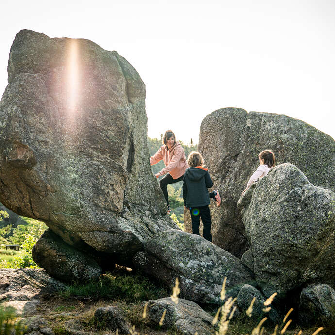 Sentier d'interprétation de la Tortue - boucle de 700m