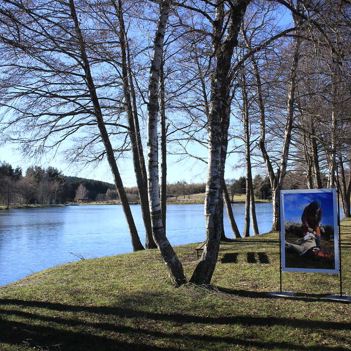 Photographies - thème des estives