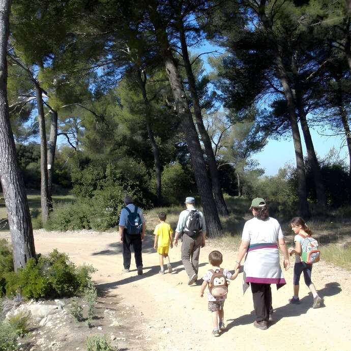 A la découverte du loup - 1/2 journée