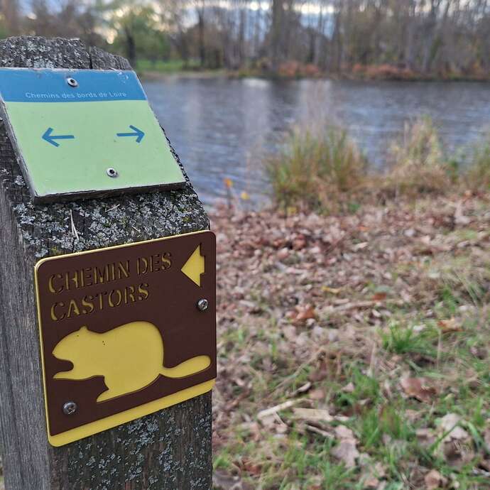Chemin des castors