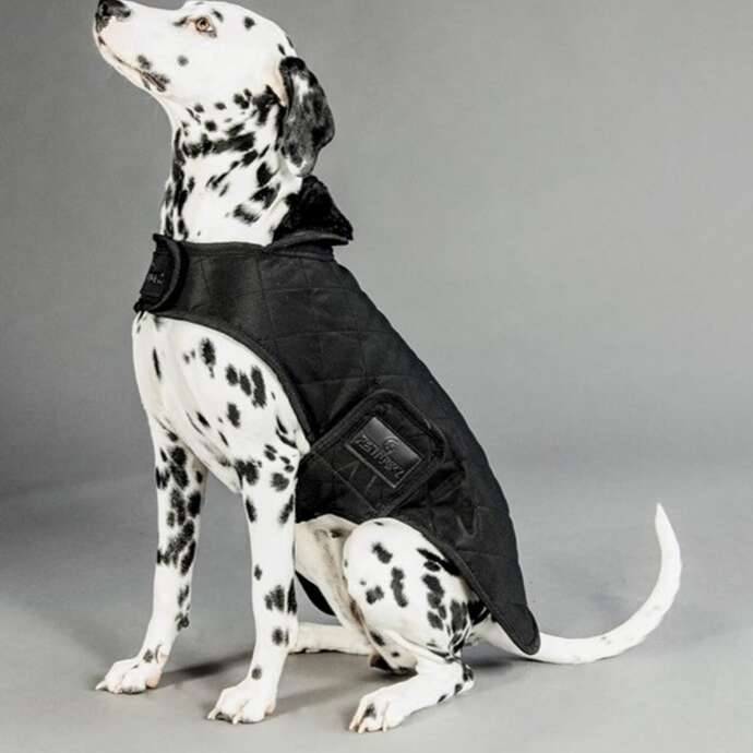 Atelier couture - habit pour chien